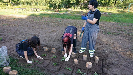 Uczniowie klasy TAKiA dbają o prawidłowy wzrost roślin.