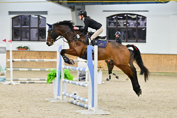 Technik hodowca koni podczas zawodów hippicznych.