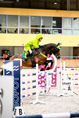 Klasie technik hodowca koni bywamy również na zawodach.