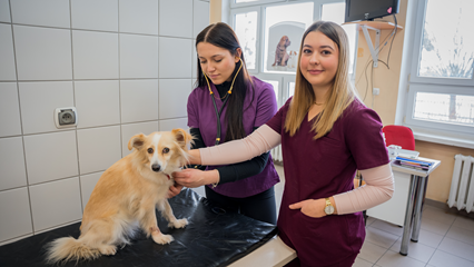 Regularna kontrola naszych domowych pupili.