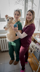 Dzięki naszej wiedzy i umiejętnościom nasze zwięrzęta domowe są zaopiekowane.