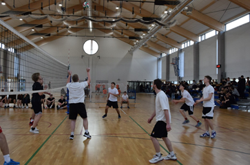 Hala sportowa